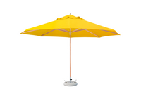 Premium - Hardwood Umbrella